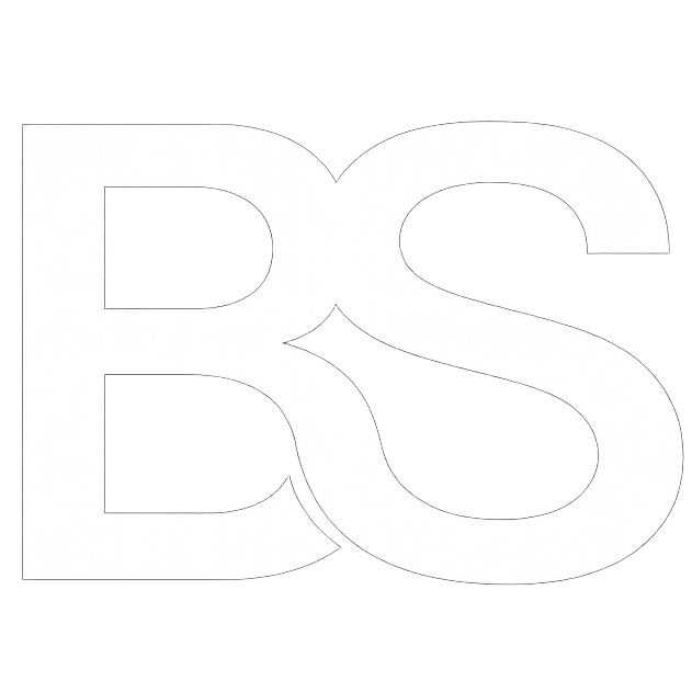 BigSolutis