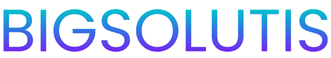 BIGSOLUTIS Logo